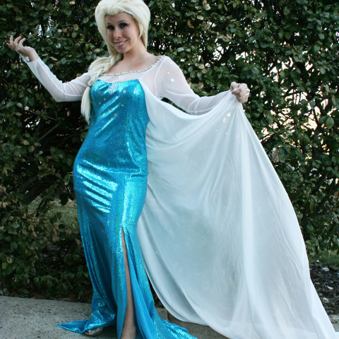 princess frozen birthday characters nyc